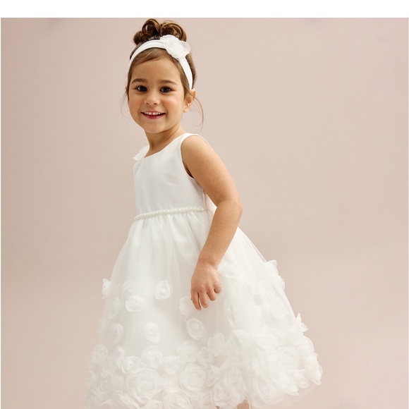 NWT Blueberi Boulevard 2-pc. Floral Applique Fit and Flare Dress & Headband Set - Picture 10 of 11